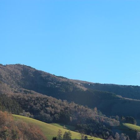 Gasthaus Zur Linde Hotel Glottertal Luaran gambar
